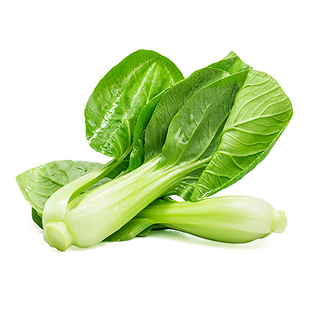 Chinese Cabbage